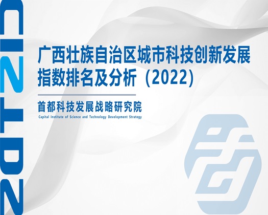 亲吻艹蛋爽视频【成果发布】广西壮族自治区城市科技创新发展指数排名及分析（2022）